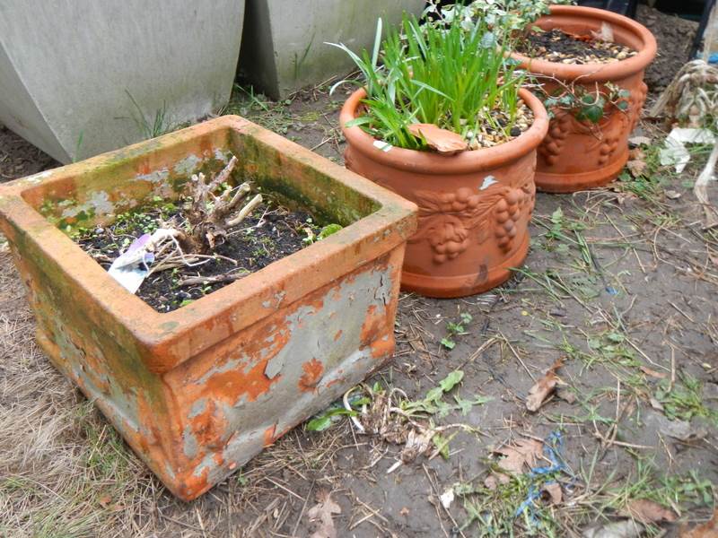 A pair of terracotta planters and one other. COLLECT ONLY.