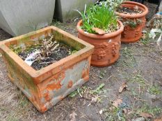 A pair of terracotta planters and one other. COLLECT ONLY.