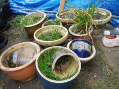 A large quantity of ceramic planters, COLLECT ONLY.