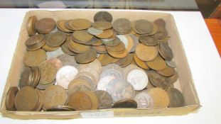 A mixed lot of mainly copper pennies.