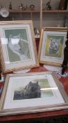 3 framed and glazed limited edition signed animal prints, Black wolf 666/765, white wolf 871/1275,