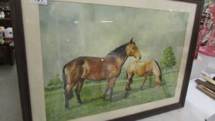 A framed and glazed watercolour of mare with foal signed Rex Flood, COLLECT ONLY.