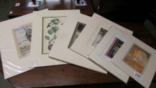 Six unframed prints, all mounted.