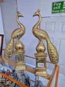 A pair of solid brass Peacock fire dogs. Height 44cm