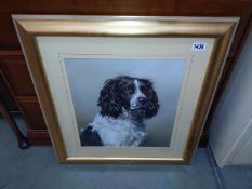 A large gilt framed print of a spaniel. 61cm x 65cm. COLLECT ONLY.