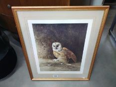 A print of a Barn Owl protecting her eggs, by David Parry (52cm x 61cm) COLLECT ONLY