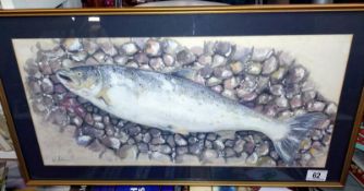 A Framed and glazed original watercolour of a salmon in a pebbled stream, signed by W. Polson.