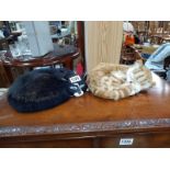 Two realistic sleeping cats