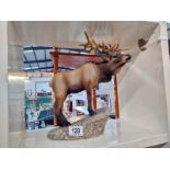 A stag by United design and hand painted by Anita Self, COLLECT ONLY.