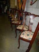 A set of six dining chairs, COLLECT ONLY.