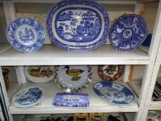 Two shelves of Blue and White etc, Including Blue Willow meat plate and Wedgewood etc