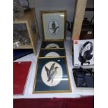 4 framed & glazed prints of birds (22.5cm x 32.5cm)