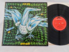 Rare Bird ? Born Again UK 1974 LP Record 2383 274 A//3 and B//4 NM The vinyl is in near mint