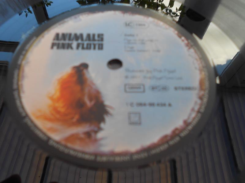 Pink Floyd ? Animals German 1st press 1977 record LP 1C 064-98 434 98434-A-0 and B-0 N/M The vinyl - Image 9 of 13