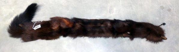 A vintage 'The City farriers, Lincoln' taxidermy fur stole