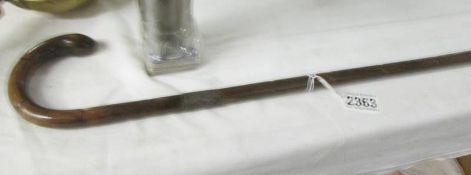 A walking cane with silver collar.