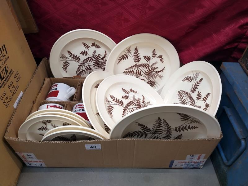 A quantity of Royal Victoria plates & 4 Cup-a-soup mugs