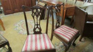 A pair of mahogany chairs on carved lion paw feet. COLLECT ONLY.