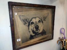A framed picture of a dog.