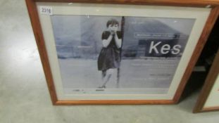 Kes film poster/print, from the 3oth anniversary re-release in 1999 directed by Ken Loach,