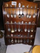 A selection of tourist collectors spoons on rack