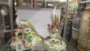 A superb pair of early Royal Crown Derby gold decorated peacocks, (some small chips to flowers).