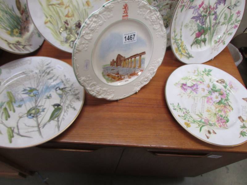 Six collector's months of the year plates (Jan-June) and a Forth Bridge plate. - Image 4 of 4