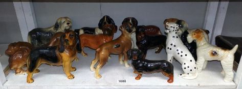 A collection of dog pottery figures including Bulldog & St Bernard by different makers