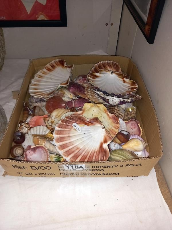 A box of sea shells