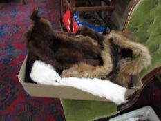 A box of fur stoles.