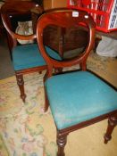 A pair of Victorian mahogany balloon back bedroom chairs. COLLECT ONLY.