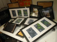 A quantity of new glazed picture frames.