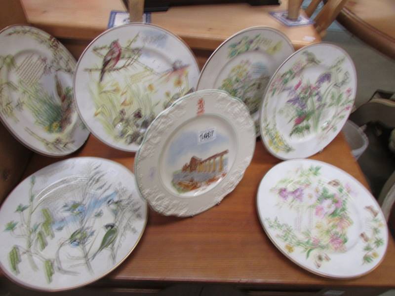 Six collector's months of the year plates (Jan-June) and a Forth Bridge plate.