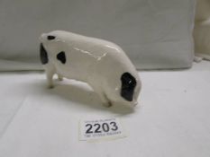 A Royal Doulton spotted pig in good condition.