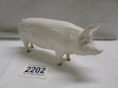 A Beswick pig, C H Wallboy 53. In good condition.