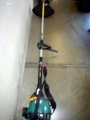 A petrol strimmer