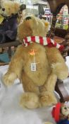 A Steiff classic original bear with red and white scarf.