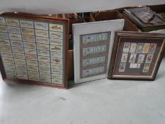 Three framed and glazed sets of cigarette cards including fish.
