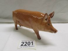 A Royal Doulton pig figure, in good condition.