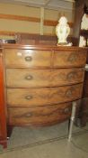 A Victorian mahogany inlaid two over three chest of drawers with brass handles. COLLECT ONLY