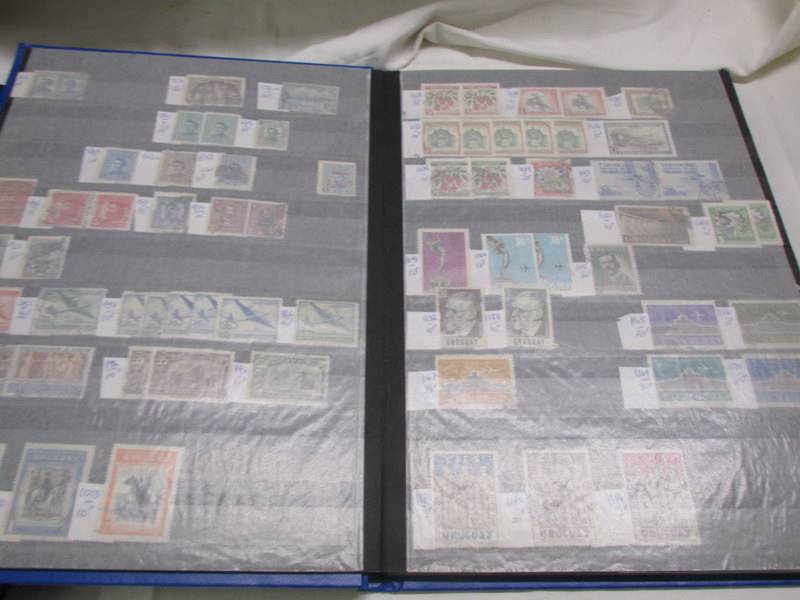 Six albums of South American and Cuba stamps including rare examples. - Image 10 of 15