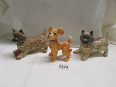 Two Beswick terriers (one with chip on ear) and another Beswick dog,