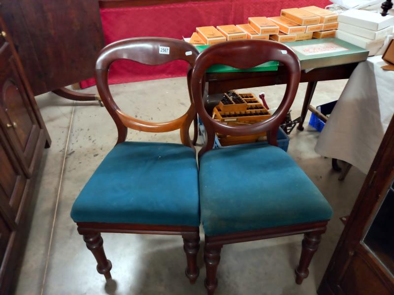 A pair of mahogany balloon back chairs, COLLECT ONLY.