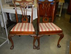 A pair of mahogany dining chairs on ball and claw feet. COLLECT ONLY.