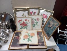 A quantity of flower pictures in frames COLLECT ONLY
