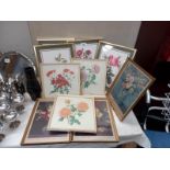 A quantity of flower pictures in frames COLLECT ONLY