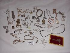Approximately 30 items of necklaces etc, small amount of silver items all in good order.