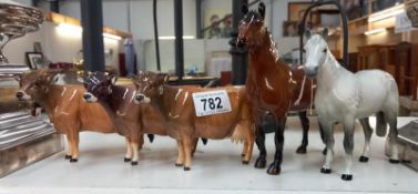 3 mid 20th century Beswick cows (horns A/F) & 2 Beswick horse (both A/F had legs reglued)