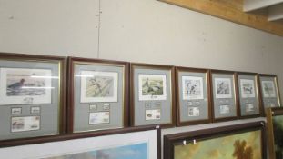 A set of seven framed and glazed Duck postage stamp collages COLLECT ONLY.
