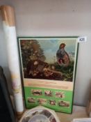 A vintage Eley Game Advisory Service information board & common or grey Partridge & 2 bird prints